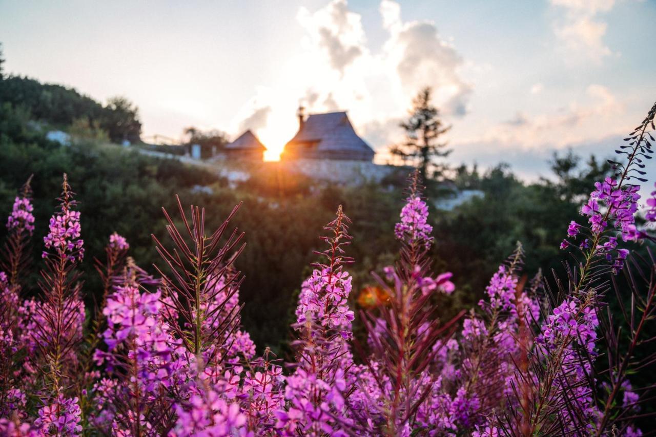 Koca Ojstrica - Velika Planina Βίλα Stahovica Εξωτερικό φωτογραφία
