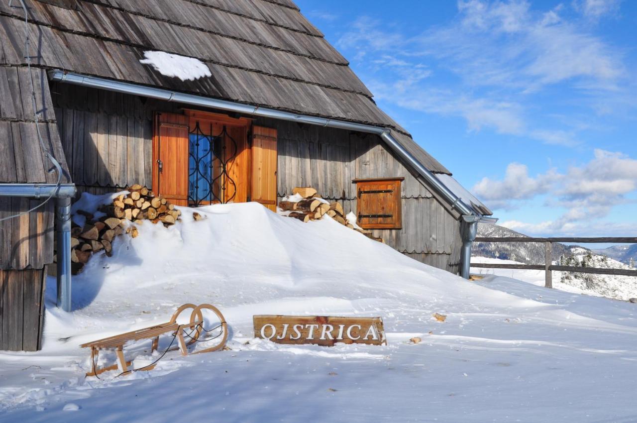 Koca Ojstrica - Velika Planina Βίλα Stahovica Εξωτερικό φωτογραφία