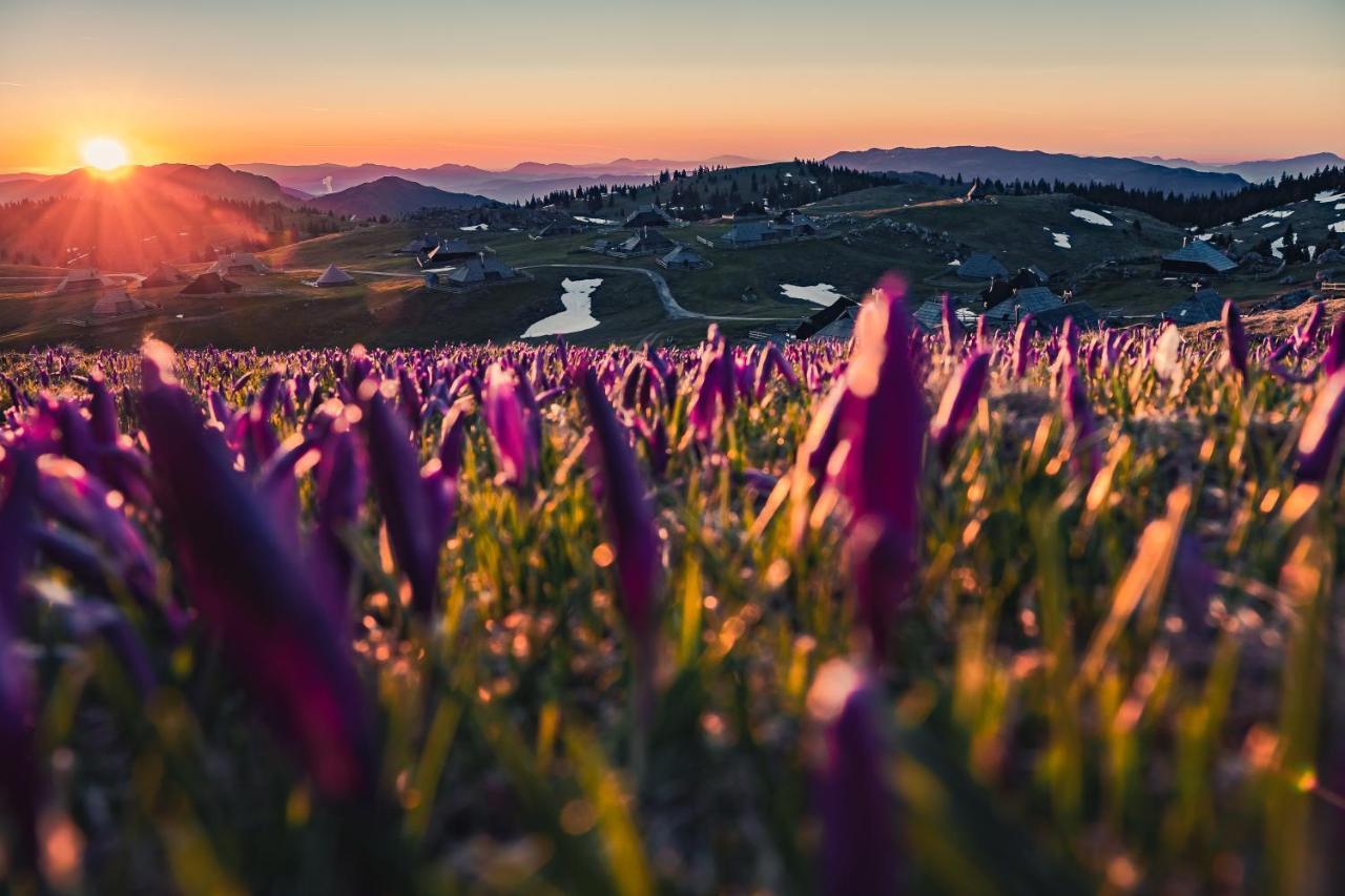 Koca Ojstrica - Velika Planina Βίλα Stahovica Εξωτερικό φωτογραφία