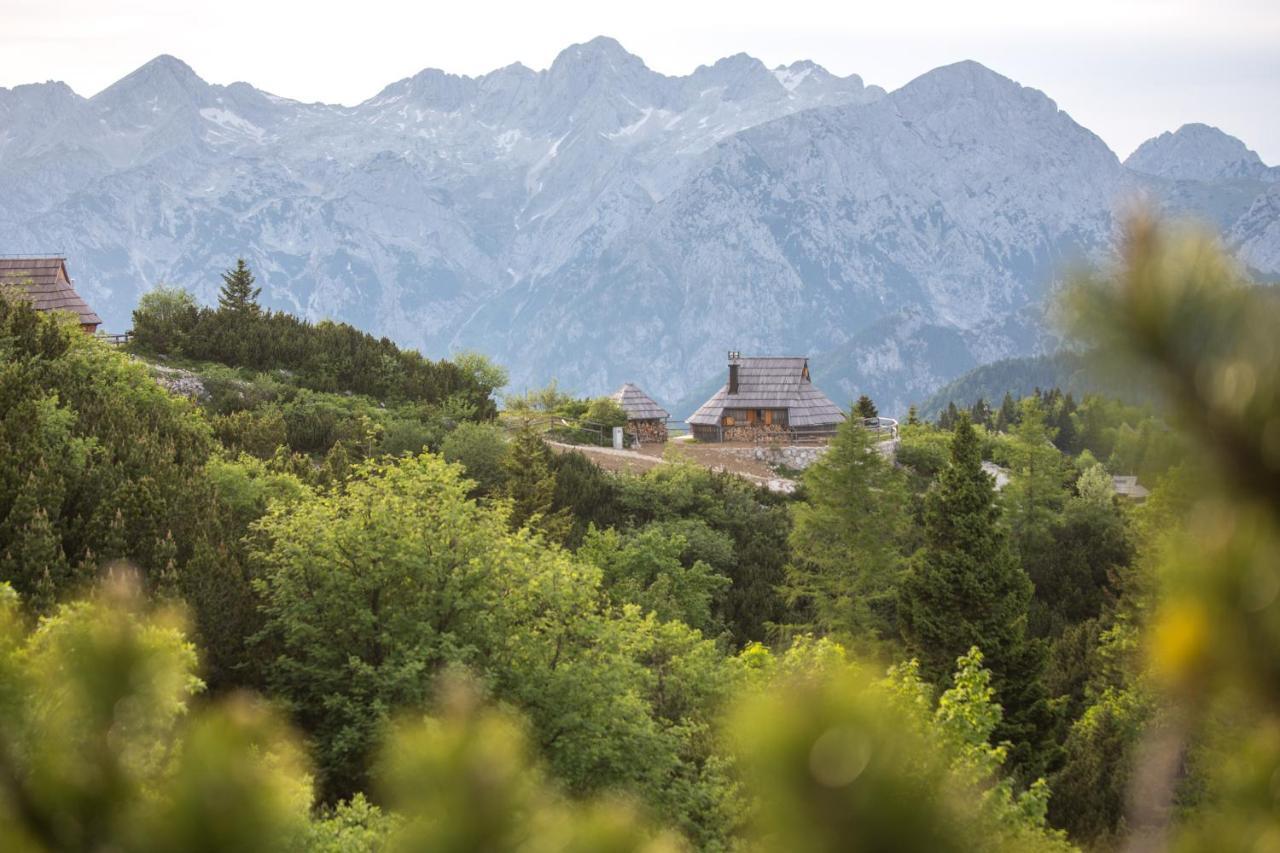 Koca Ojstrica - Velika Planina Βίλα Stahovica Εξωτερικό φωτογραφία