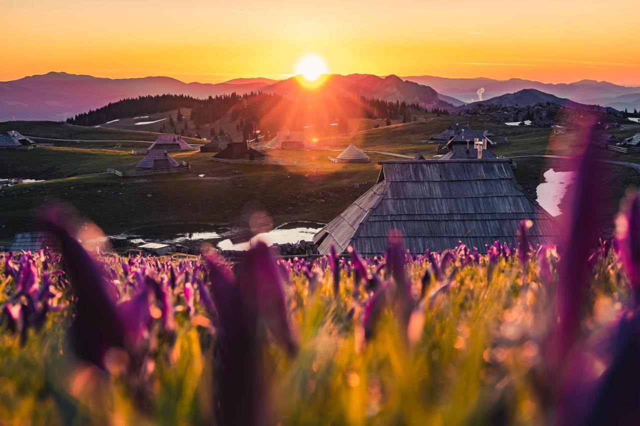 Koca Ojstrica - Velika Planina Βίλα Stahovica Εξωτερικό φωτογραφία
