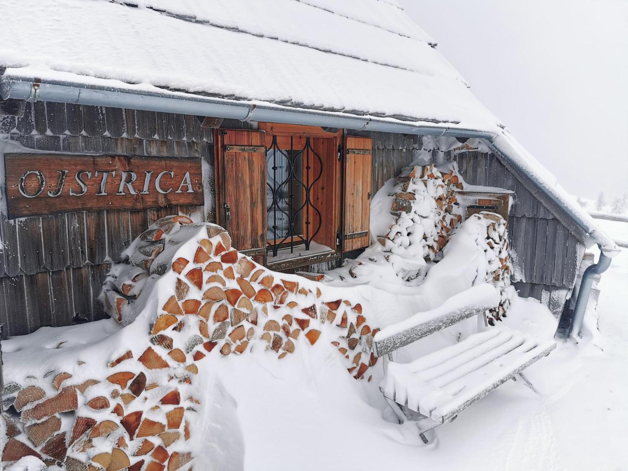 Koca Ojstrica - Velika Planina Βίλα Stahovica Εξωτερικό φωτογραφία